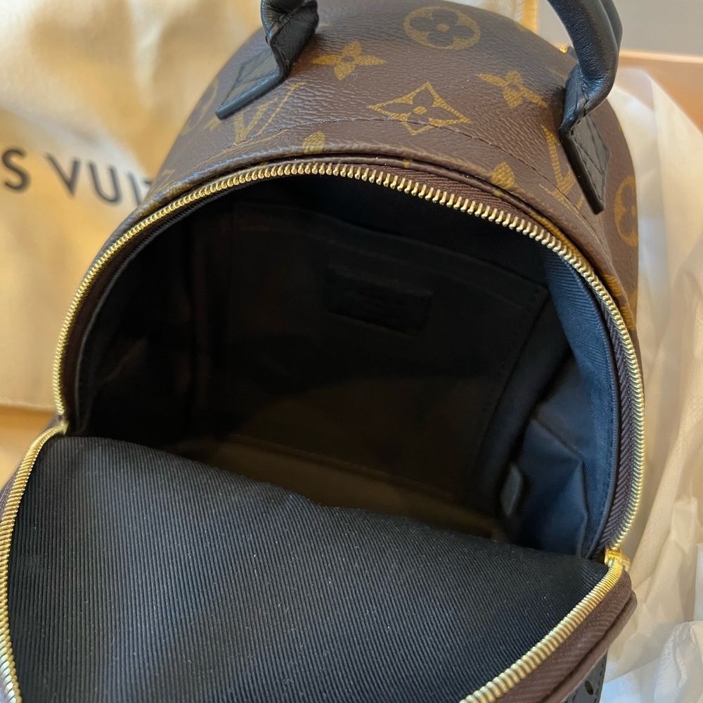 LOUIS VUITTON (LV) PALM SPRINGS MINI BACKPACK - Picture 12 of 14